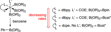Graphical abstract: Pronounced effects of substituents on the iridium-catalyzed borylation of aryl C–H bonds