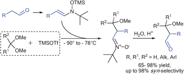 Graphical abstract: N-Trimethylsilyloxyenamines as new aldehyde enolate synthons: general, efficient and diastereoselective aldol reaction with ketals and acetals