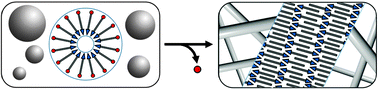 Graphical abstract: Micelle to fibre biocatalytic supramolecular transformation of an aromatic peptide amphiphile