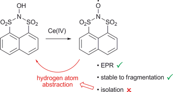 Graphical abstract: In search of a new class of stable nitroxide: synthesis and reactivity of a peri-substituted N,N-bissulfonylhydroxylamine