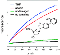 Graphical abstract: Templated chemistry for monitoring damage and repair directly in duplex DNA