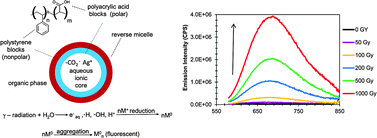 Graphical abstract: Generation of fluorescent silver nanoscale particles in reverse micelles using gamma irradiation
