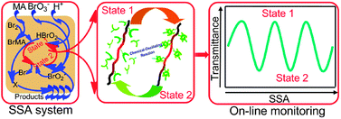 Graphical abstract: Self-regulated supramolecular assembly driven by a chemical-oscillating reaction