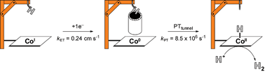 Graphical abstract: Proton-coupled electron transfer kinetics for the hydrogen evolution reaction of hangman porphyrins