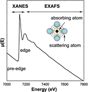 Graphical abstract: X-ray absorption spectroscopy of biological samples. A tutorial