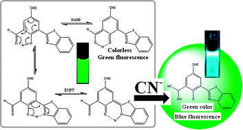 Graphical abstract: Resonance-assisted hydrogen bonding induced nucleophilic addition to hamper ESIPT: ratiometric detection of cyanide in aqueous media