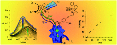 Graphical abstract: Charge photo-accumulation and photocatalytic hydrogen evolution under visible light at an iridium(iii)-photosensitized polyoxotungstate