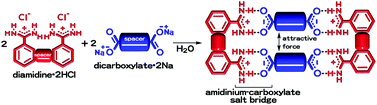 Graphical abstract: Four-component assembly in the crystalline state driven by amidinium–carboxylate salt bridge formation from an aqueous solution