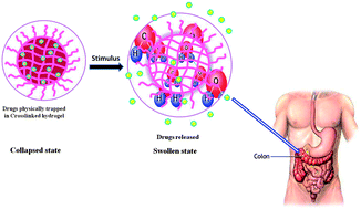 Graphical abstract: Dextrin cross linked with poly(HEMA): a novel hydrogel for colon specific delivery of ornidazole