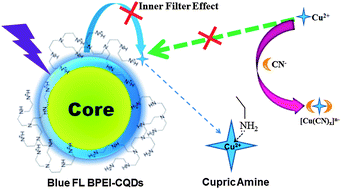 Graphical abstract: “Turn-on” fluorescent detection of cyanide based on polyamine-functionalized carbon quantum dots