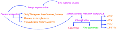 Graphical abstract: Artificial intelligence-based classification of breast cancer using cellular images