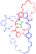 Graphical abstract: Nitrate anion templated synthesis of a [2]catenane for nitrate recognition in organic–aqueous solvent media