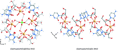 Graphical abstract: Ca2+ metal ion adducts with cytosine, cytidine and cytidine 5′-monophosphate: a comprehensive study of calcium reactivity towards building units of nucleic acids