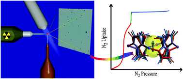 Graphical abstract: Single-crystal X-ray diffraction studies on structural transformations of porous coordination polymers
