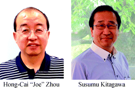 Graphical abstract: Metal–Organic Frameworks (MOFs)