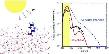 Graphical abstract: Reactivity of aldehydes at the air–water interface. Insights from molecular dynamics simulations and ab initio calculations