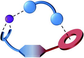 Graphical abstract: Phosphate binding by a novel Zn(ii) complex featuring a trans-1,2-diaminocyclohexane ligand. Effective anion recognition in water