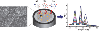 Graphical abstract: Gold nanoparticle-decorated MoS2 nanosheets for simultaneous detection of ascorbic acid, dopamine and uric acid