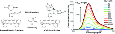 Graphical abstract: Functionalizable red emitting calcium sensor bearing a 1,4-triazole chelating moiety