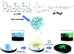 Graphical abstract: A light sensitive self-assembled nanogel as a tecton for protein patterning materials