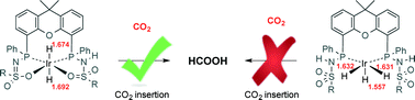 Graphical abstract: Hydrogenation of CO2 to formic acid with iridiumIII(bisMETAMORPhos)(hydride): the role of a dormant fac-IrIII(trihydride) and an active trans-IrIII(dihydride) species