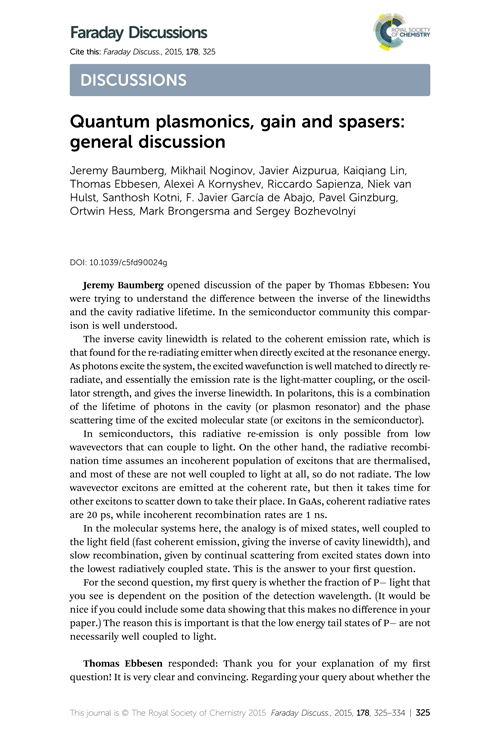 Quantum plasmonics, gain and spasers: general discussion