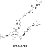 Graphical abstract: Click synthesis of a polyamidoamine dendrimer-based camptothecin prodrug