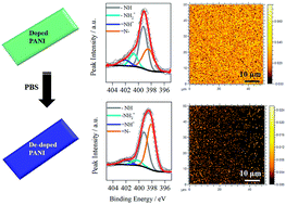 Graphical abstract: Elucidating the deprotonation of polyaniline films by X-ray photoelectron spectroscopy