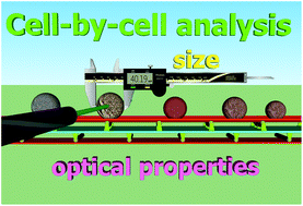 Graphical abstract: Spectrophotometric analysis at the single-cell level: elucidating dispersity within melanic immortalized cell populations