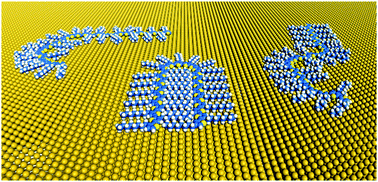 Graphical abstract: Direct observation of the influence of chirality on the microstructure of regioregular poly(3-alkylthiophene)s at the liquid/solid interface