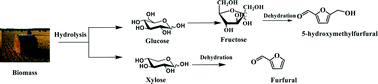 Graphical abstract: One-pot catalytic conversion of carbohydrates into furfural and 5-hydroxymethylfurfural