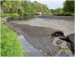 Graphical abstract: Water treatment process evaluation of wildfire-affected sediment leachates