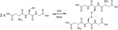 Graphical abstract: Glutathione responsive polymers and their application in drug delivery systems