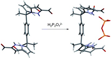 Graphical abstract: Non-cyclic formylated dipyrromethanes as phosphate anion receptors