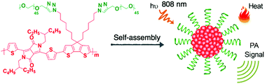 Graphical abstract: Near-infrared absorbing amphiphilic semiconducting polymers for photoacoustic imaging