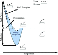 Graphical abstract: From force curves to surface nanomechanical properties