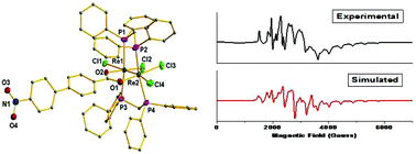 Graphical abstract: The first examples of multiply bonded dirhenium(iii,ii) paramagnetic complexes containing nitrobenzoate ligands: spectroscopic, structural, cytotoxicity and computational studies