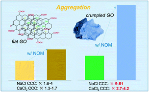 Graphical abstract: Graphene oxides in water: assessing stability as a function of material and natural organic matter properties