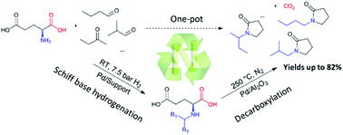 Graphical abstract: Bio-based N-alkyl-2-pyrrolidones by Pd-catalyzed reductive N-alkylation and decarboxylation of glutamic acid