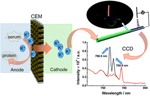 Graphical abstract: A miniature liquid electrode discharge-optical emission spectrometric system integrating microelectrodialysis for potassium screening in serum