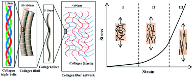 Graphical abstract: Design and application of ‘J-shaped’ stress–strain behavior in stretchable electronics: a review