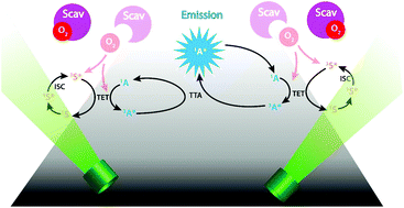 Graphical abstract: Robust triplet–triplet annihilation photon upconversion by efficient oxygen scavenging