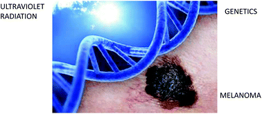 Graphical abstract: Melanoma – role of the environment and genetics