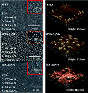 Graphical abstract: A sulfonated polymer membrane with Ag-based graft: morphology, characterization, antimicrobial activity and interception ability