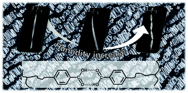 Graphical abstract: Humidity-responsive actuators from integrating liquid crystal networks in an orienting scaffold