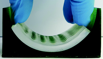 Graphical abstract: Mechano-responsive lateral buckling of miniaturized beams standing on flexible substrates