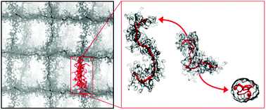 Graphical abstract: Responsive behavior of a branched-chain polymer network: a molecular dynamics study