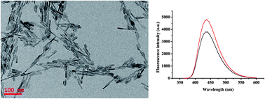 Graphical abstract: Selective turn-on detection of low levels of cysteine and homocysteine based on fluorescent hydroxyapatite nanoparticles