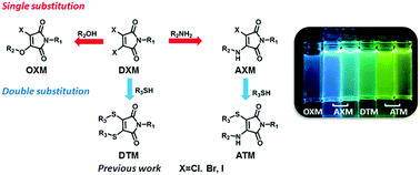 Graphical abstract: Rational design of substituted maleimide dyes with tunable fluorescence and solvafluorochromism