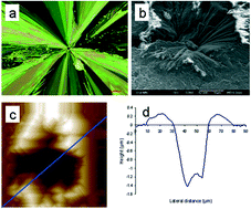 Graphical abstract: Subsurface nucleation of supercooled acetaminophen